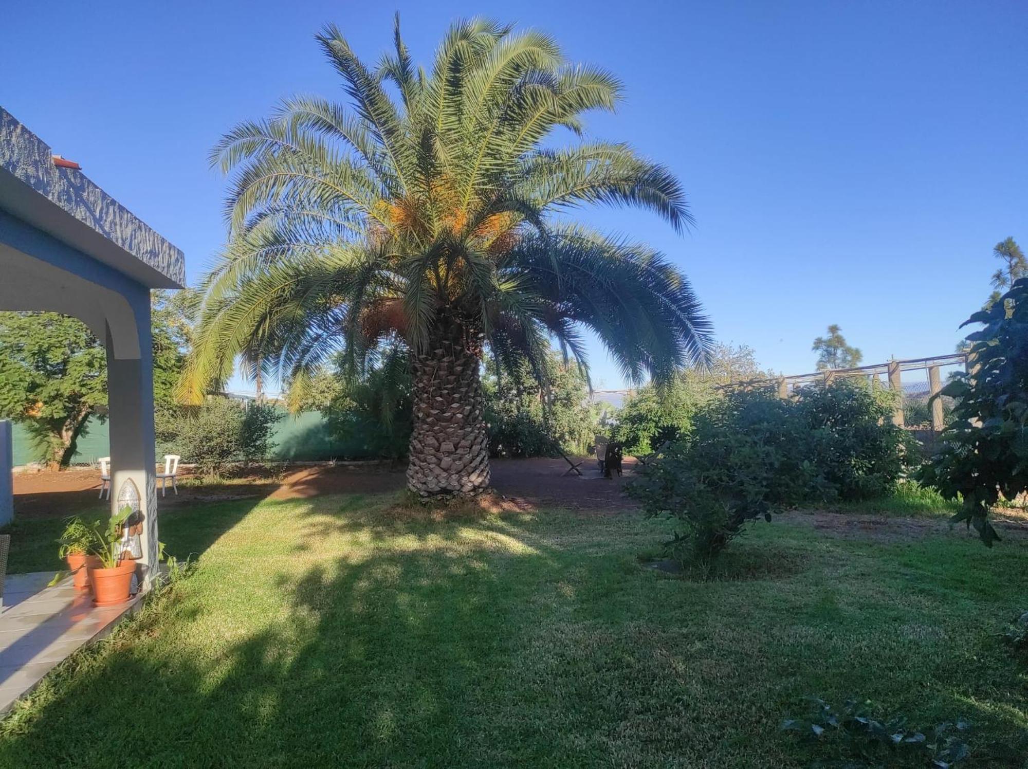 Cottage Gran Canaria Completely Renovated With Jacuzzi Valsequillo de Gran Canaria Eksteriør billede